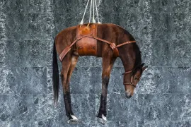 走进 Maurizio Cattelan 关于失败的「教堂」