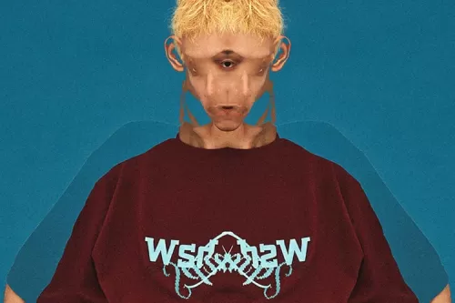 WISDOM® 携手 SDANLEY DESIGN WORKS 打造 2023 最新夏季联名系列