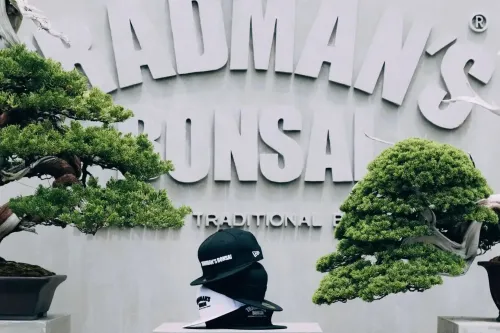 New Era × TRADMAN’S BONSAI 首个联名系列登场