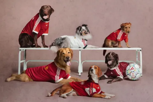 adidas Originals 为宠物推出 Real Madrid 与 Manchester United 球衣