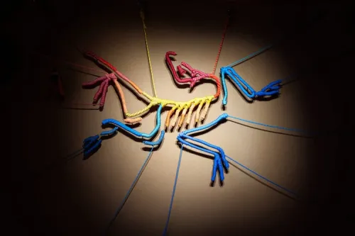 始祖鸟博物馆全新主题展「始于山，归于人」即将开幕