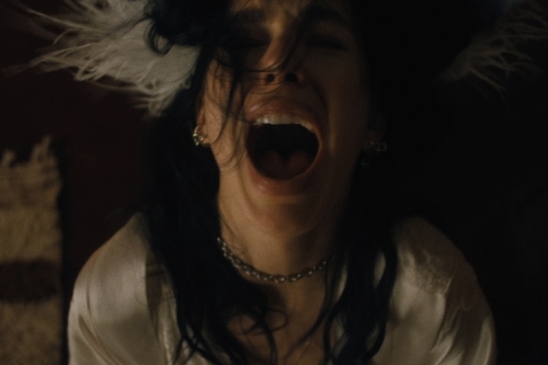 Netflix 释出 Duffer 兄弟监制恐怖影集《Something Very Bad Is Going To Happen》正式预告