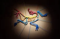 始祖鸟博物馆全新主题展「始于山，归于人」即将开幕