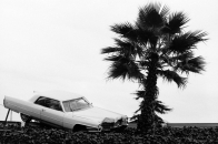 Hammer Museum 艺术双年展《Made in L.A. 2025》：聚焦华丽的不对称