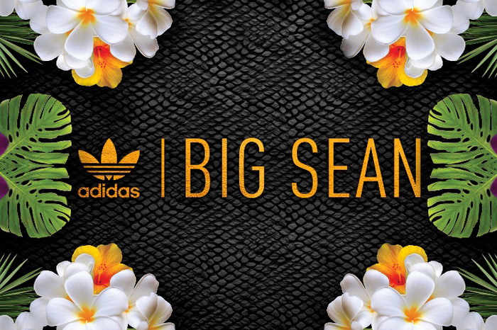 Big Sean × adidas Originals 2014 秋冬联乘系列预览