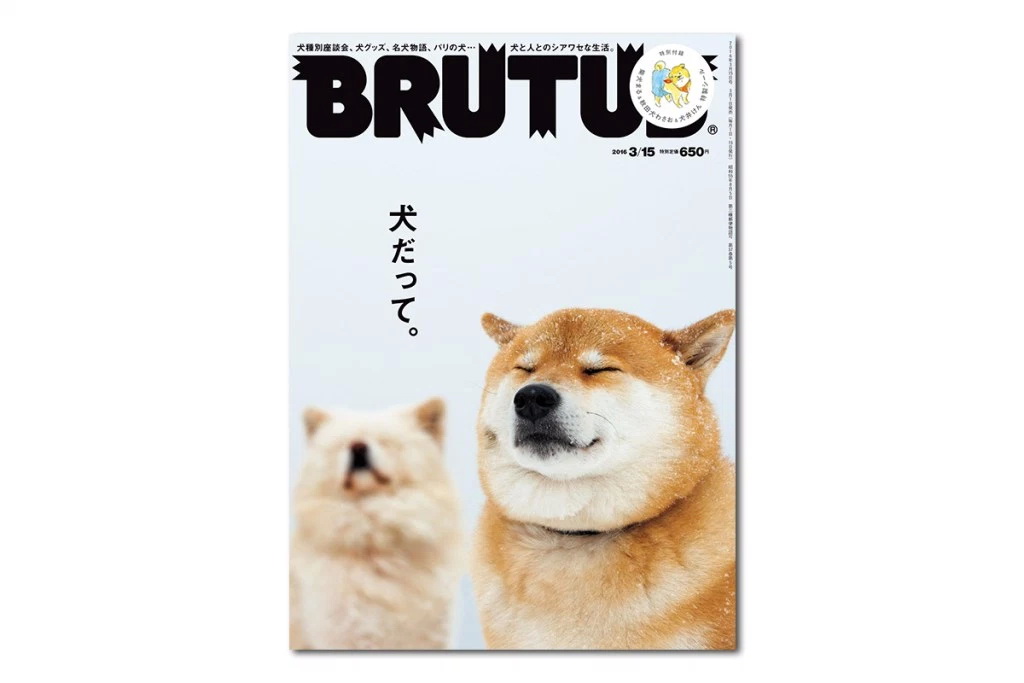《BRUTUS》发布第 819 期「宠物狗」主题刊物