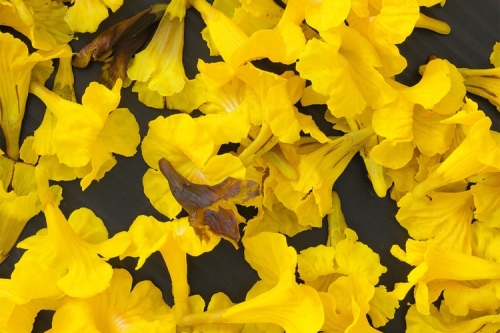 第15届上海双年展2025参展艺术家完整名单