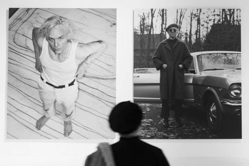 Adam Himebauch 虚构美术馆，如何成功插旗 Tribeca 实体空间？