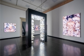 Marina Abramović《Transforming Energy》震撼登场　创威尼斯 Accademia 首位在世女艺术家个展纪录