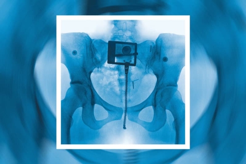 封面大公开！Lorde 全新专辑《Virgin》即将登场