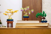 乐高 LEGO 推出全新迷你盆景组积木套装