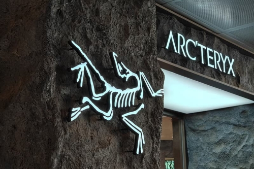 Arc'teryx、Salomon 双引擎加持，Amer Sports 第二季业绩大涨