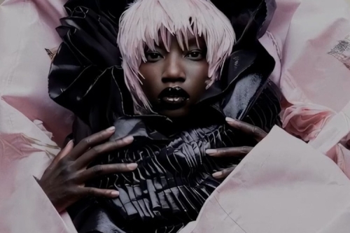 SHOWstudio 25 周年纪念短片《NATURALLY》震撼登场