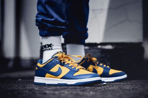 Nike Dunk 系列鞋款预计两年内销量大幅下跌 70%