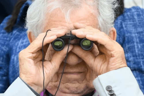 David Beckham、Tom Holland、Devin Booker 等巨星温布顿网球锦标赛 2025 最佳造型评选