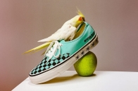 WACKO MARIA 再度联手 Vans 推出最新联名棋盘格 LX Authentic 44