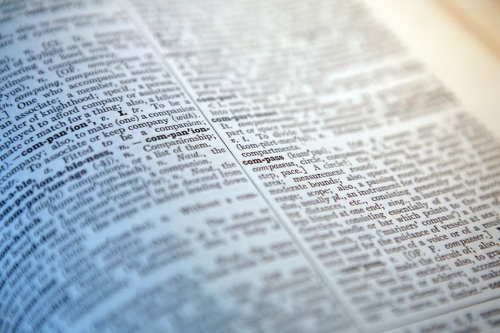 《Cambridge Dictionary》宣布收录「Skibidi」、「Delulu」等 Z 世代流行语