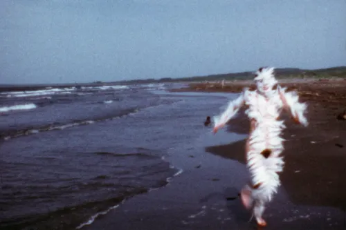 Ana Mendieta 的前瞻性大地艺术于 Tate Modern 延续影响力