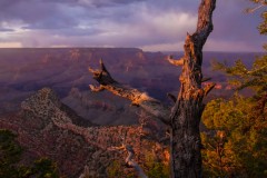 Blink of Time – Grand Canyon 大峡谷惊叹美景定时摄影视频短片