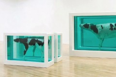 《TateShots: Highlighs 2012》﹣回顾英国 2012 年的艺术焦点