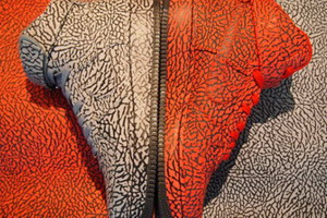 NIKEiD Air Force 1 象纹鞋款样品现身！