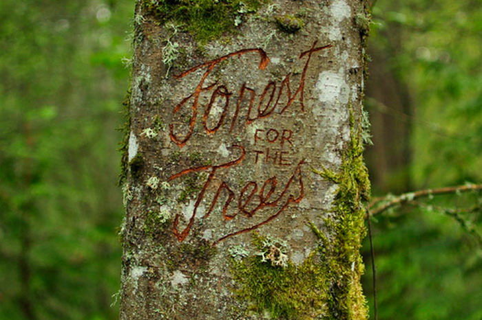 16位艺术家于波特兰公共艺术节 “Forest for the Trees” 联合创作