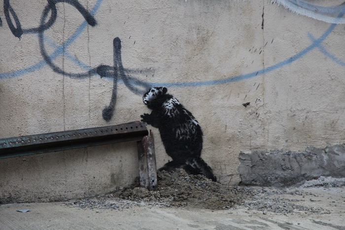 Banksy 艺术企划「Better Out Than In」最新涂鸦作品