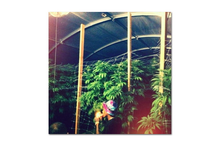 Wiz Khalifa 全新单曲《Maan! (Weedmix)》试听