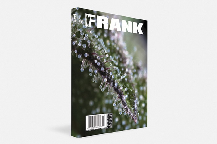 《FRANK151》特别号《420》即将推出