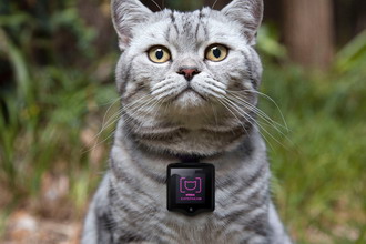 Whiskas 推出 Catstacam 猫族自拍相机
