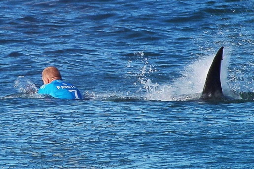 冲浪冠军 Mick Fanning 比赛中鲨口奇迹逃脱