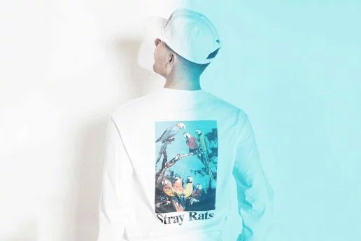 STRAY RATS 2015 秋冬系列型录 Lookbook