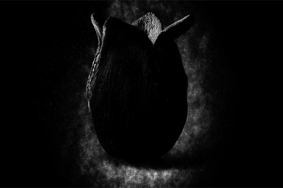《异形:契约 / Alien: Covenant》最新预告短片