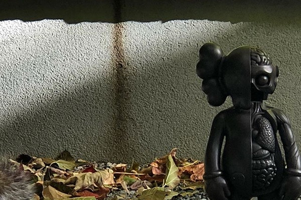 KAWS 释出黑魂仕样 COMPANION