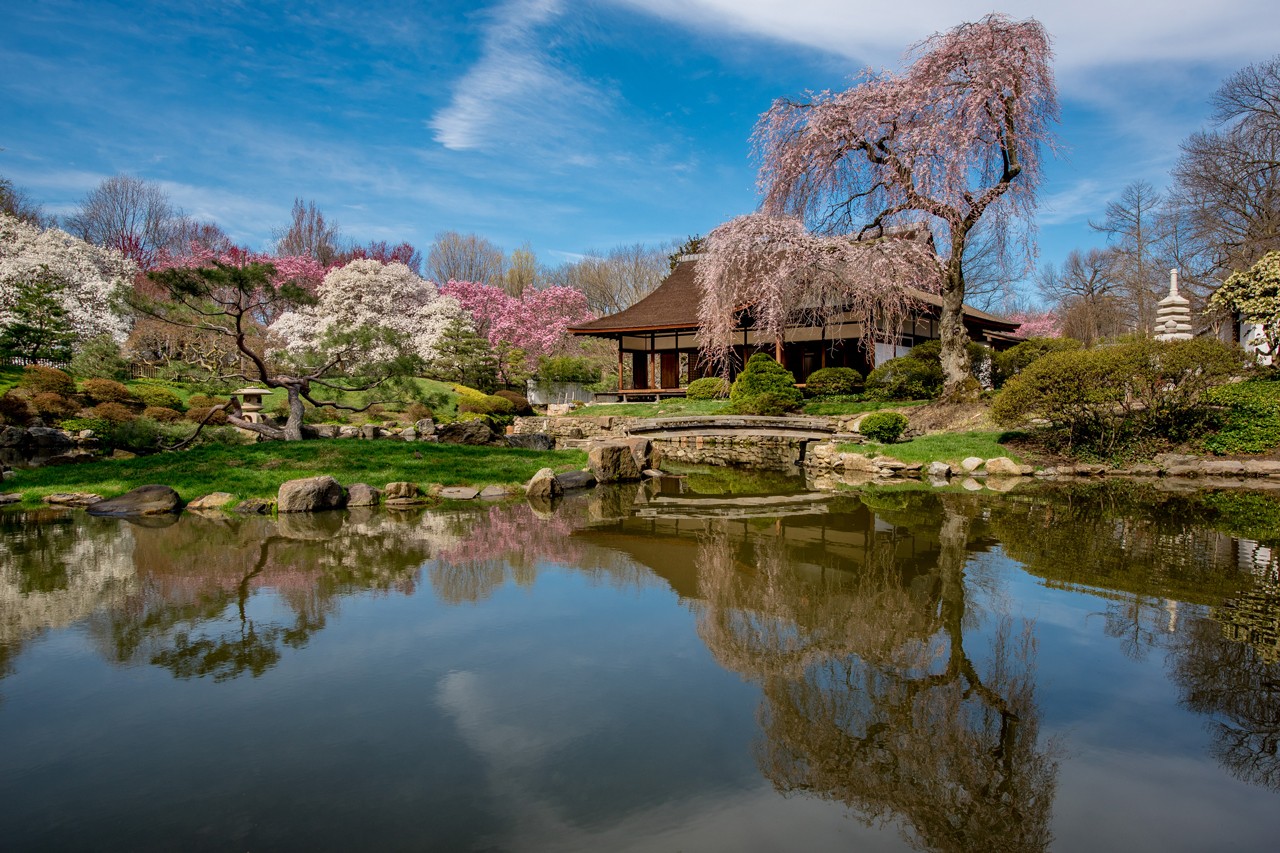 走进 20 世纪中期日式建筑：Shofuso Japanese House