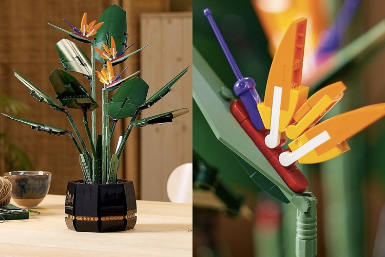 LEGO 全新花卉植栽系列「天堂鸟 Birds of Paradise」正式登场