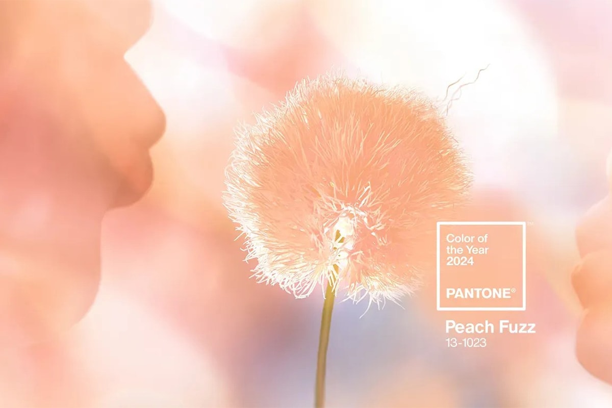 Pantone 正式公布 2024 年度代表色「Peach Fuzz」