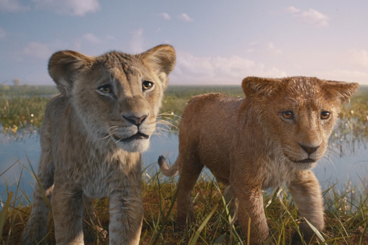 Disney 真人版电影《狮子王：木法沙》释出 D23 独家最新预告