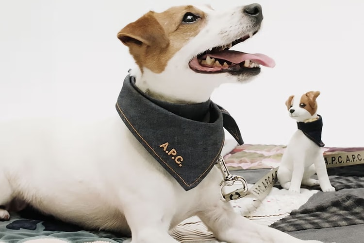 A.P.C. 推出首个宠物犬系列「TOUTOU」