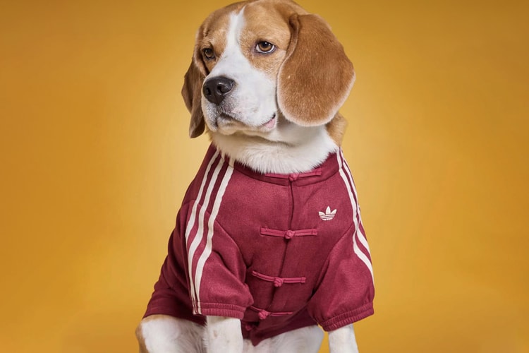 adidas 爆红中式运动外套推宠物版，打造全新 Pets 系列话题单品