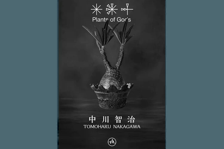 432HZ 携手 Plants of Gods 举办期间限定店